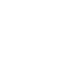 総力戦